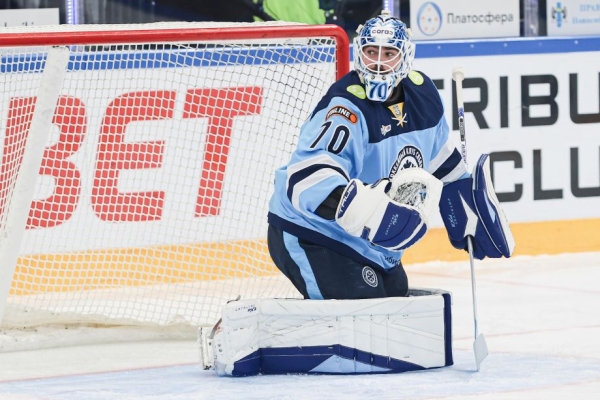 Доминге покинул Сибирь, Волков заключил пробный контракт, что происходит в Новосибирске, иностранные вратари в КХЛ Доминге покинул Сибирь, Волков заключил пробный контракт, что происходит в Новосибирске, иностранные вратари в КХЛ